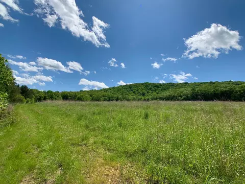 000 Farm Road 1280, Shell Knob, MO 65747 photo 6