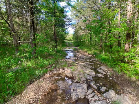 000 Farm Road 1280, Shell Knob, MO 65747 photo 45