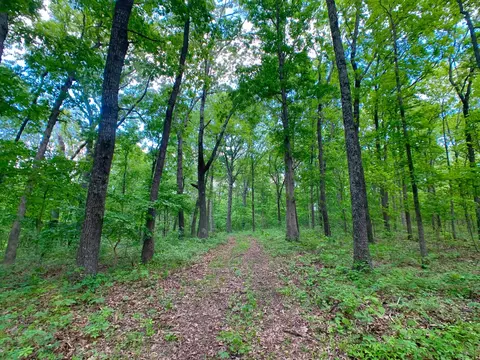 000 Farm Road 1280, Shell Knob, MO 65747 photo 57