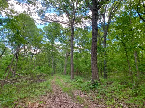 000 Farm Road 1280, Shell Knob, MO 65747 photo 58