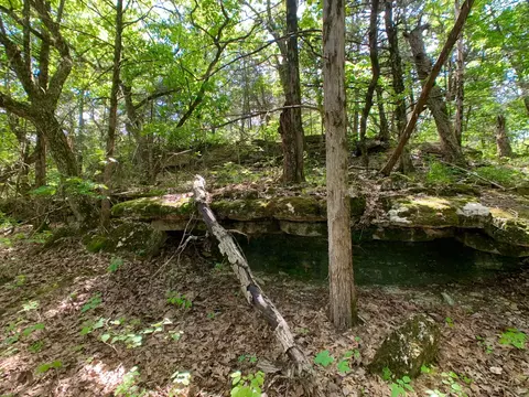 000 Farm Road 1280, Shell Knob, MO 65747 photo 23