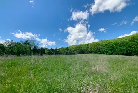 000 Farm Road 1280, Shell Knob, MO 65747 photo 3