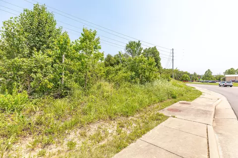 0 Gretna Rd, Branson, MO 65616 photo 12