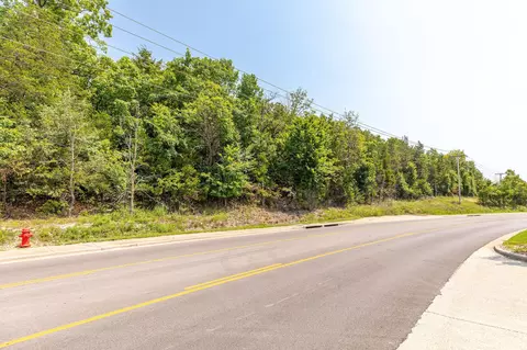 0 Gretna Rd, Branson, MO 65616 photo 8