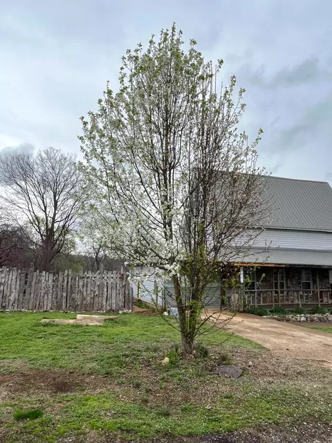 Exterior - 695 Summit Ave, Mammoth Spring, AR 72554 photo 3 of 14