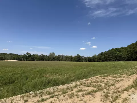 Tract 1 Riverpointe View, Ozark, MO 65721 photo 6