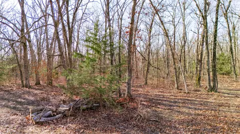 20476 E 1700 Rd, Fair Play, MO 65649 photo 38