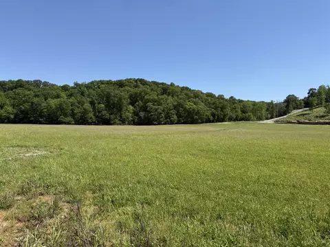 Tract 2 Riverpointe View, Ozark, MO 65721 photo 5