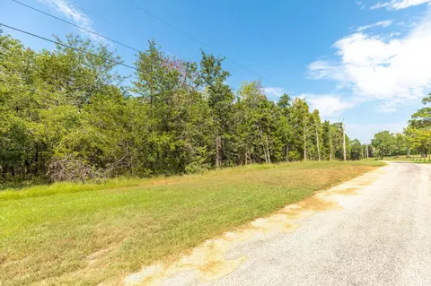 lot4 Savage Rd, Kirbyville, MO 65679