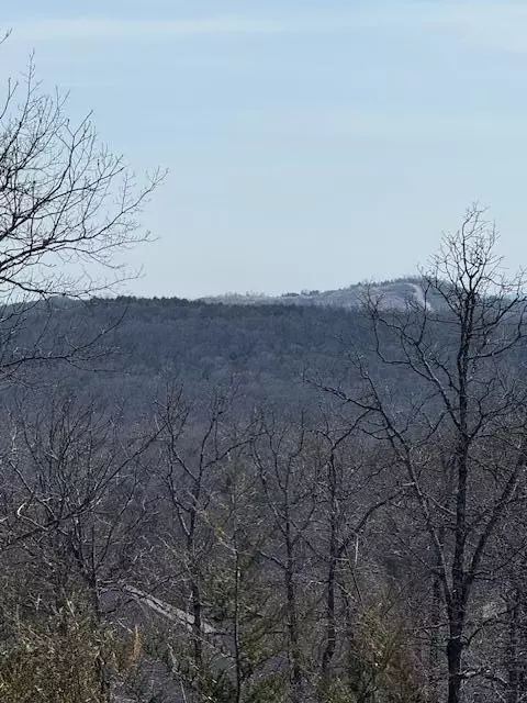 644 Timberland Trl, Branson, MO 65616