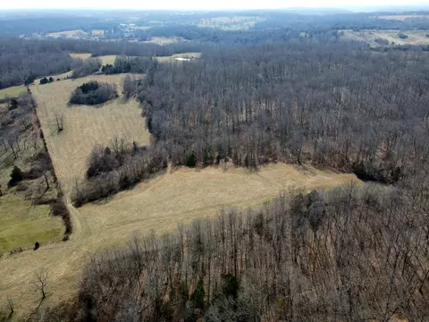 View/Area - 6576 County Road 529, Ava, MO 65608 photo 16 of 17