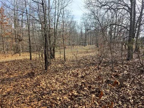 Exterior - 6576 County Road 529, Ava, MO 65608 photo 6 of 14