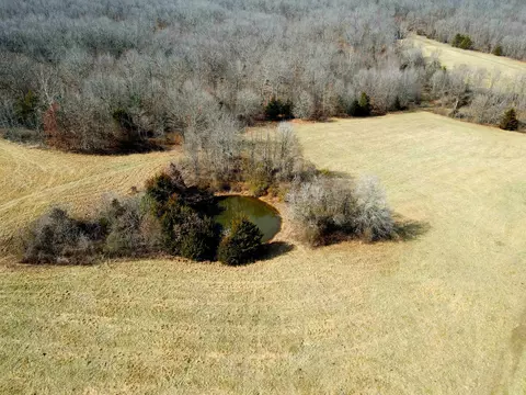 Other - 6576 County Road 529, Ava, MO 65608 photo 33 of 34