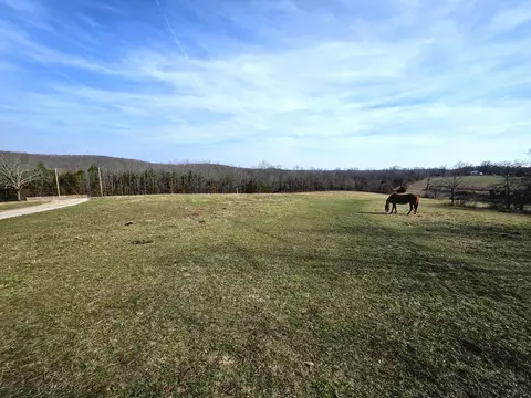 Other - 6576 County Road 529, Ava, MO 65608 photo 30 of 34