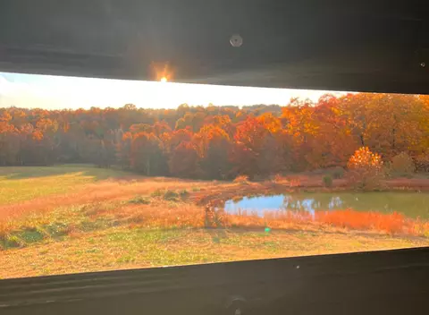 View/Area - 6576 County Road 529, Ava, MO 65608 photo 3 of 17
