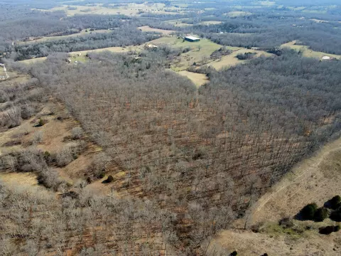 View/Area - 6576 County Road 529, Ava, MO 65608 photo 6 of 17