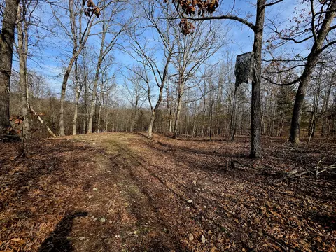 Exterior - 6576 County Road 529, Ava, MO 65608 photo 10 of 14