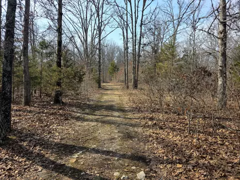 Other - 6576 County Road 529, Ava, MO 65608 photo 7 of 34