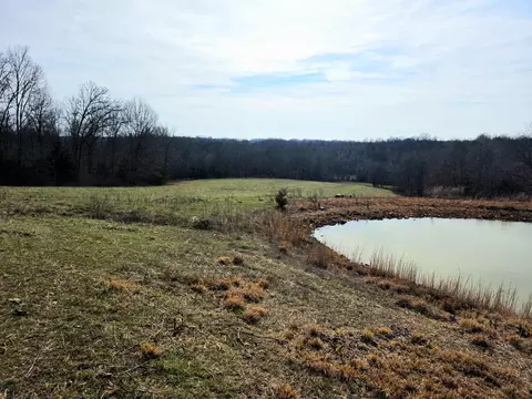 View/Area - 6576 County Road 529, Ava, MO 65608 photo 2 of 17