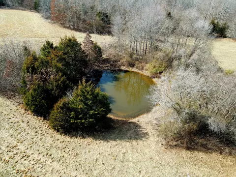 View/Area - 6576 County Road 529, Ava, MO 65608 photo 12 of 17