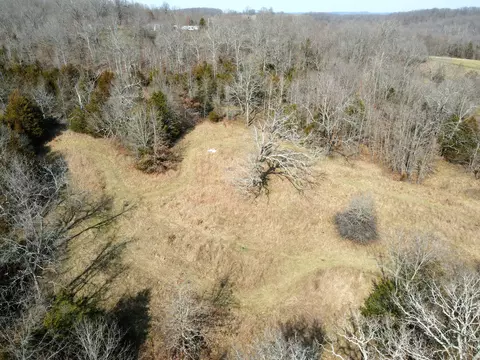 View/Area - 6576 County Road 529, Ava, MO 65608 photo 13 of 17