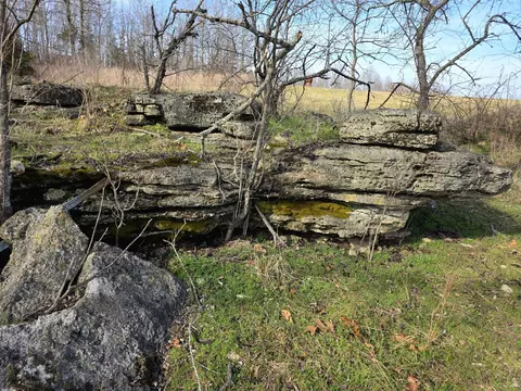 Other - 6576 County Road 529, Ava, MO 65608 photo 29 of 34