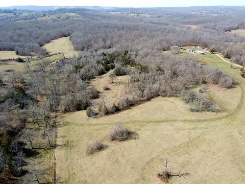 View/Area - 6576 County Road 529, Ava, MO 65608 photo 4 of 17