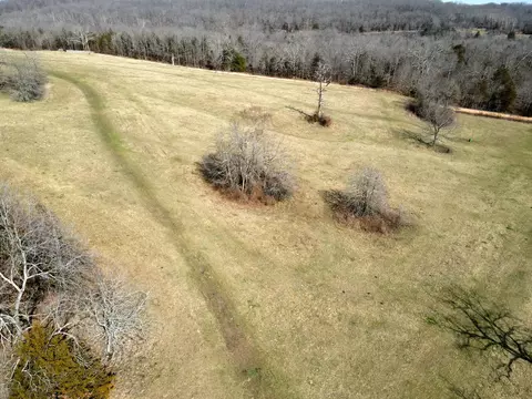 View/Area - 6576 County Road 529, Ava, MO 65608 photo 14 of 17