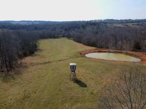 View/Area - 6576 County Road 529, Ava, MO 65608 photo 9 of 17