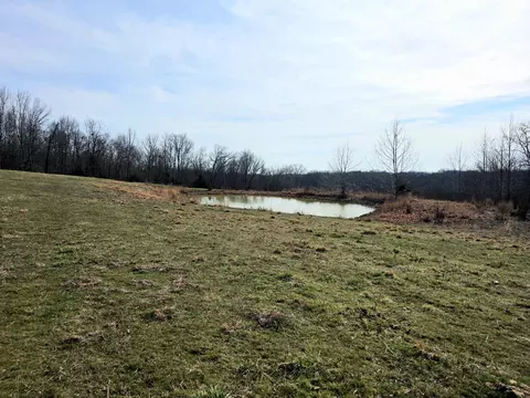 View/Area - 6576 County Road 529, Ava, MO 65608 photo 1 of 17