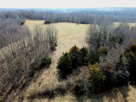 View/Area - 6576 County Road 529, Ava, MO 65608 photo 11 of 17