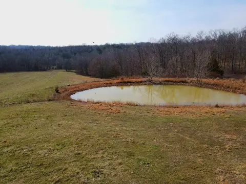View/Area - 6576 County Road 529, Ava, MO 65608 photo 10 of 17