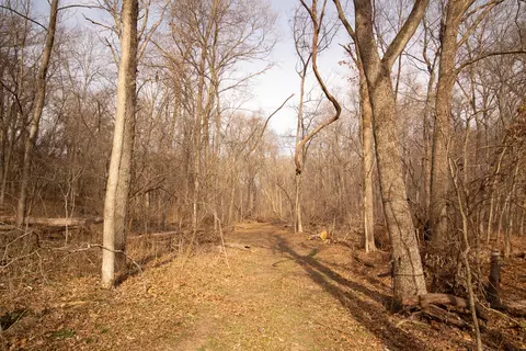 000 Condor Dr #TRACT 3S, Seneca, MO 64865