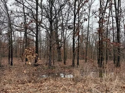 6 47 Acres Hawkweed Trl, Tunas, MO 65764 photo 3