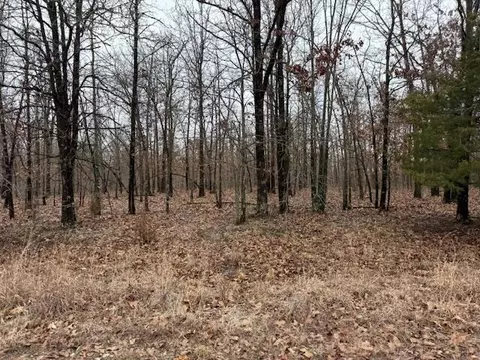 6 47 Acres Hawkweed Trl, Tunas, MO 65764 photo 7