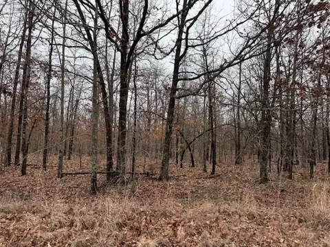 6 47 Acres Hawkweed Trl, Tunas, MO 65764 photo 4