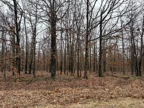 6 47 Acres Hawkweed Trl, Tunas, MO 65764