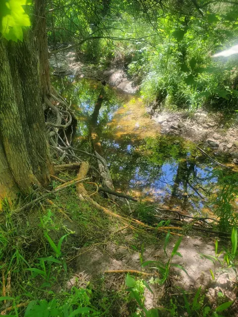 000 E 480th Rd #LOT 8, Bolivar, MO 65613