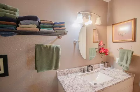 Bath - 747 Amanda Dr, Clever, MO 65631 photo 5 of 6