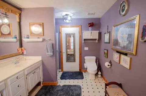 Bath - 747 Amanda Dr, Clever, MO 65631 photo 1 of 6