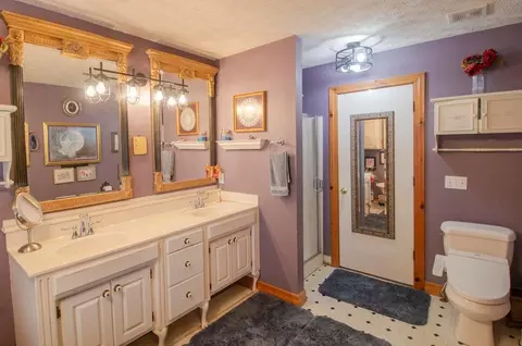 Bath - 747 Amanda Dr, Clever, MO 65631 photo 3 of 6