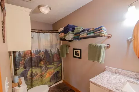 Bath - 747 Amanda Dr, Clever, MO 65631 photo 4 of 6