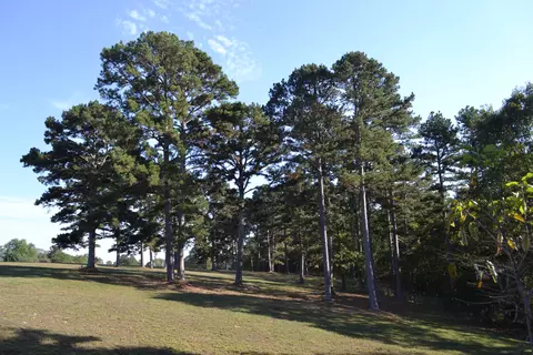 Other - 33202 Missouri State Highway East 14, Ava, MO 65608 photo 2 of 25