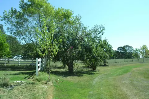 Exterior - 33202 Missouri State Highway East 14, Ava, MO 65608 photo 11 of 19