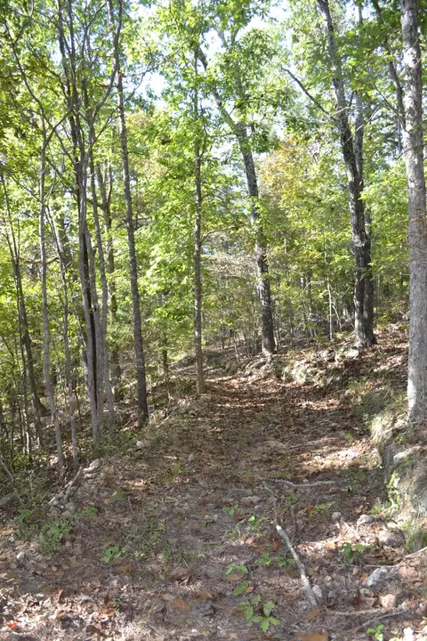 Other - 33202 Missouri State Highway East 14, Ava, MO 65608 photo 4 of 25