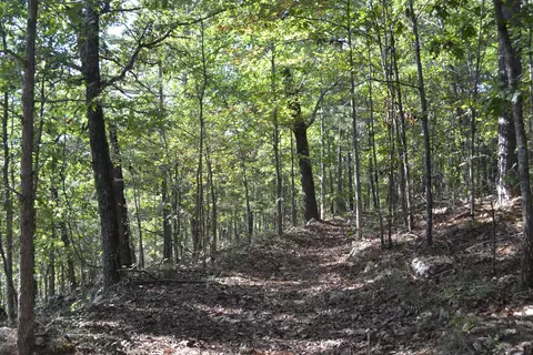 Other - 33202 Missouri State Highway East 14, Ava, MO 65608 photo 3 of 25