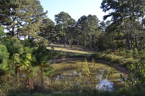 View/Area - 33202 Missouri State Highway East 14, Ava, MO 65608 photo 2 of 2