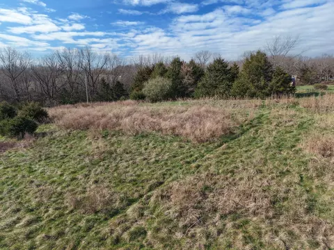 114 Blue Fantasia Ln, Crane, MO 65633 photo 8