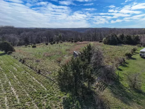 114 Blue Fantasia Ln, Crane, MO 65633 photo 4