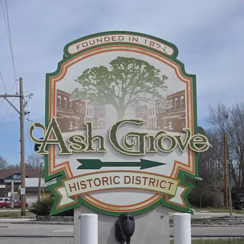 Other - 207 W Main St, Ash Grove, MO 65604 photo 10 of 10